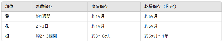 ダンデリオンの保存は？— フレッシュ＆ドライの長持ちさせる方法を解説！