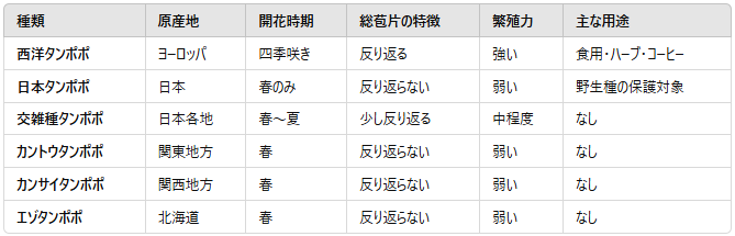 ダンデリオンの種類は？— 西洋タンポポと日本タンポポの違いを解説！