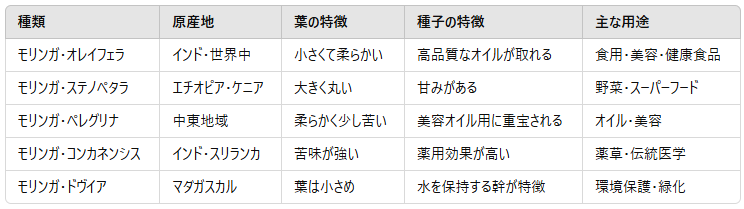 モリンガの種類は?