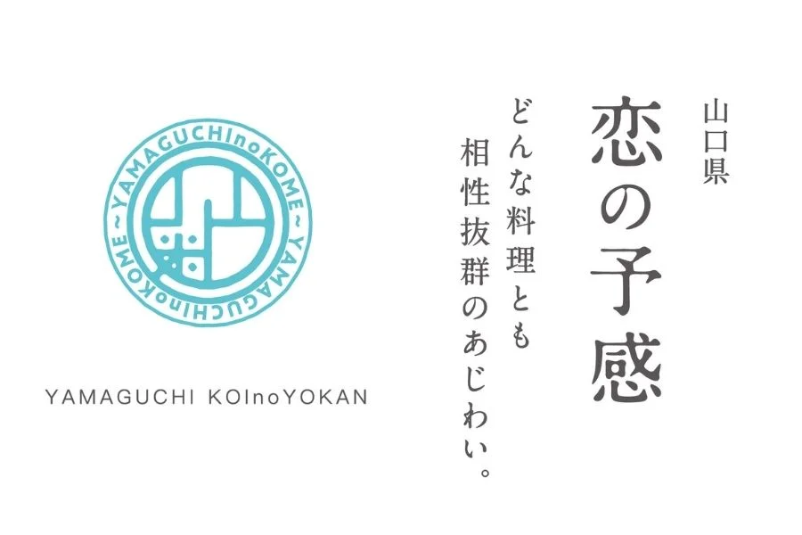 恋の予感(令和7年山口県産・減農薬米)30kg - 画像 (6)