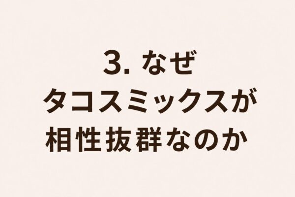 3. なぜタコスミックスが相性抜群なのか
